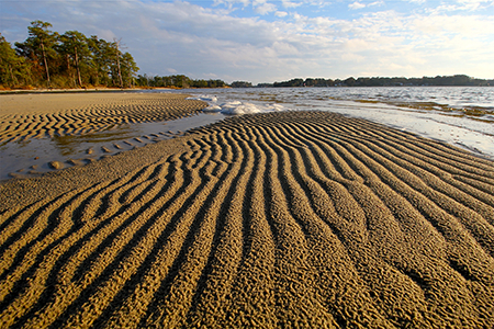 sand ripples