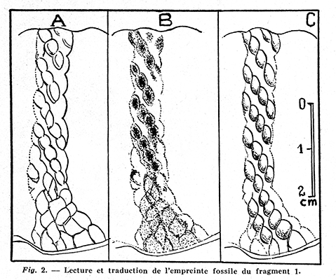 Lascaux rope