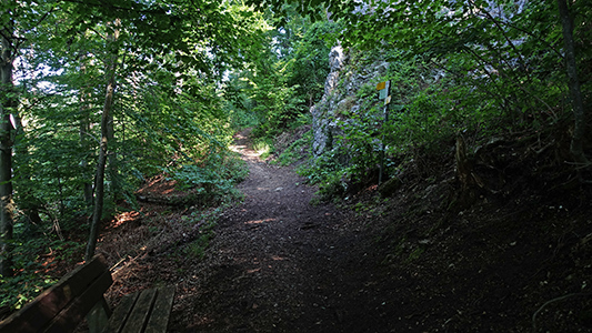 Brillenhöhle