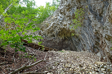 Geißenklösterle