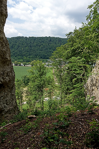 Geißenklösterle