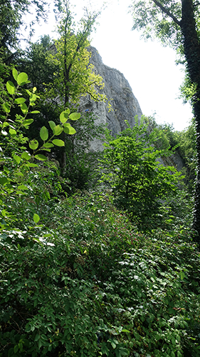  road to hohlefels