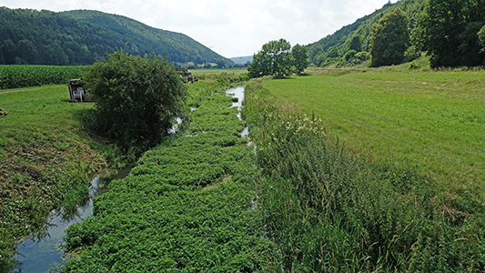 route from hohle fels to sirgenstein