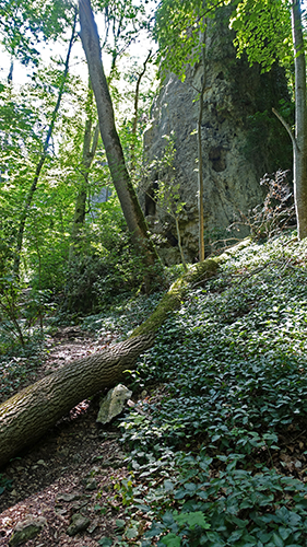 route from hohle fels to sirgenstein