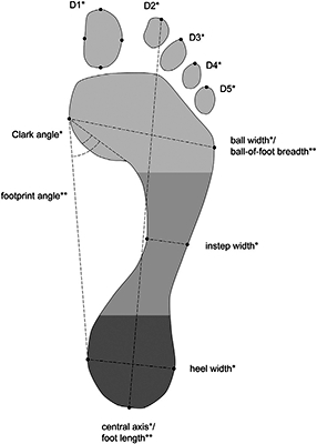 foot print map