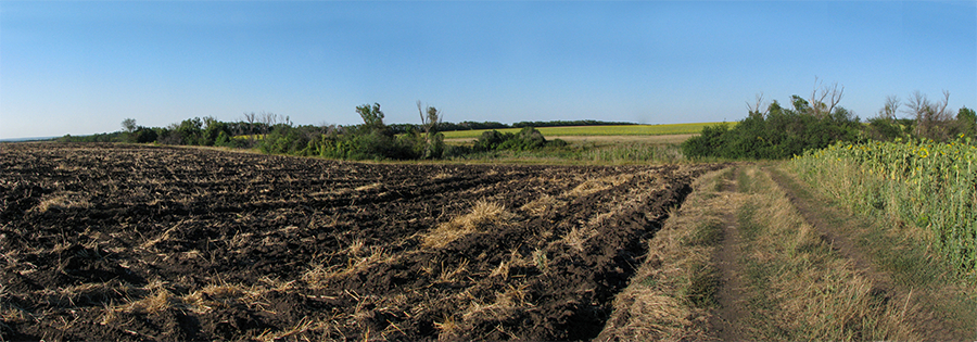 ploughed field