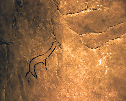 foot prints