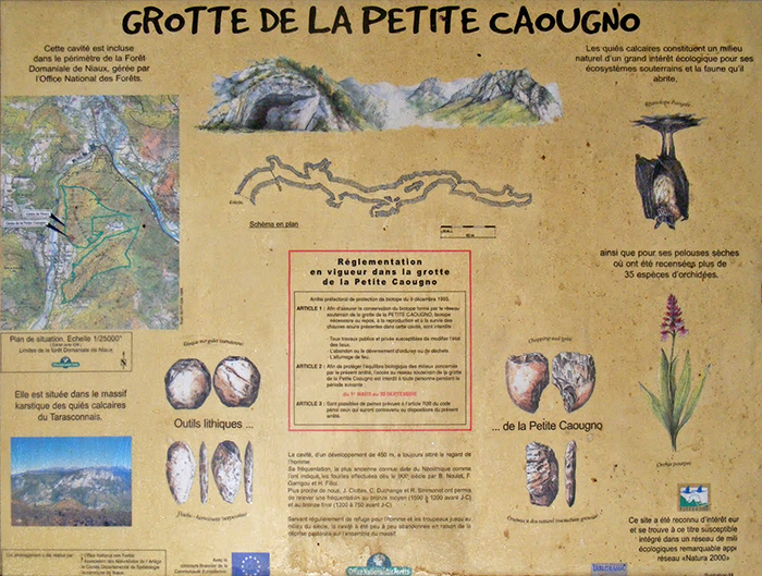 La Petite Caougno