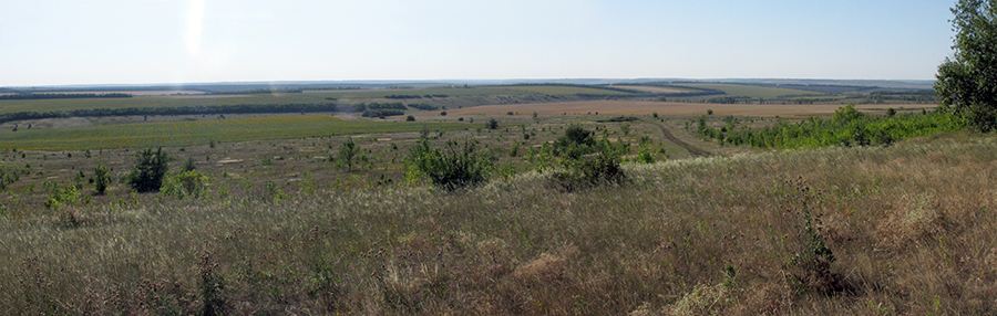  field