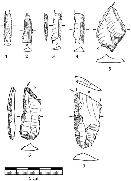 venusbrettingentools_2gsm