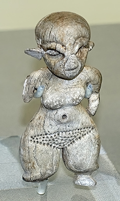  dwarf venus