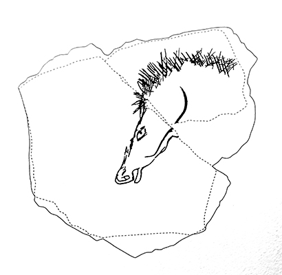  DSC02064horseheaddrawingsm