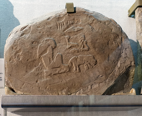 DSC06307hieroglyphhipposm