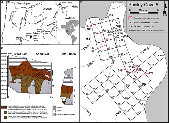 Paisley Fieldwork