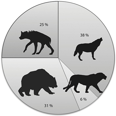 piechart_trousm