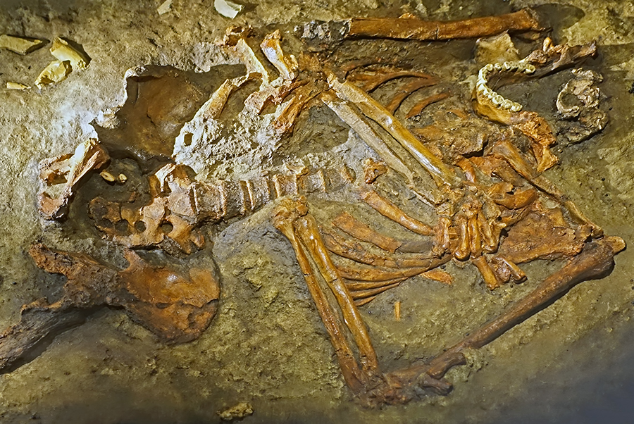 Kebara Skeleton