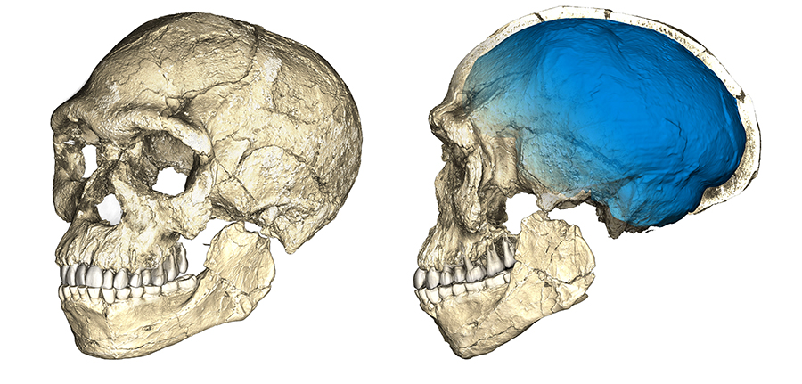 jebelirhoudskullsm