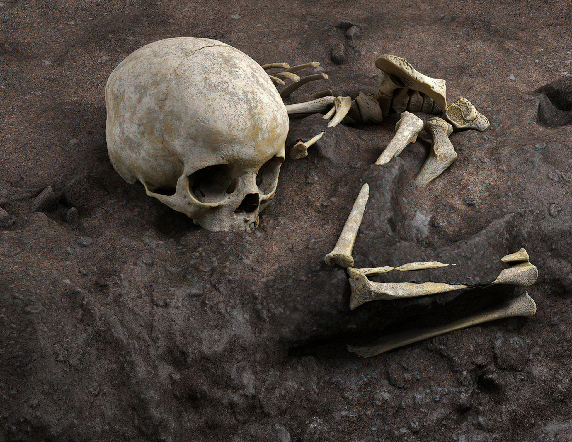 Bag O' Bones Beach Skeleton Lets You Create a Human Skeleton In The Sand