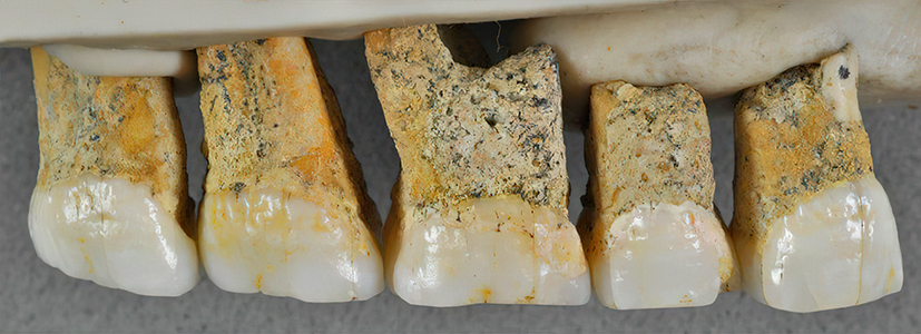 callao cave teeth