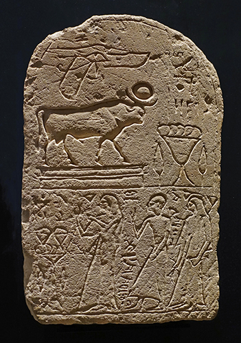 DSC00005stela2bullsm