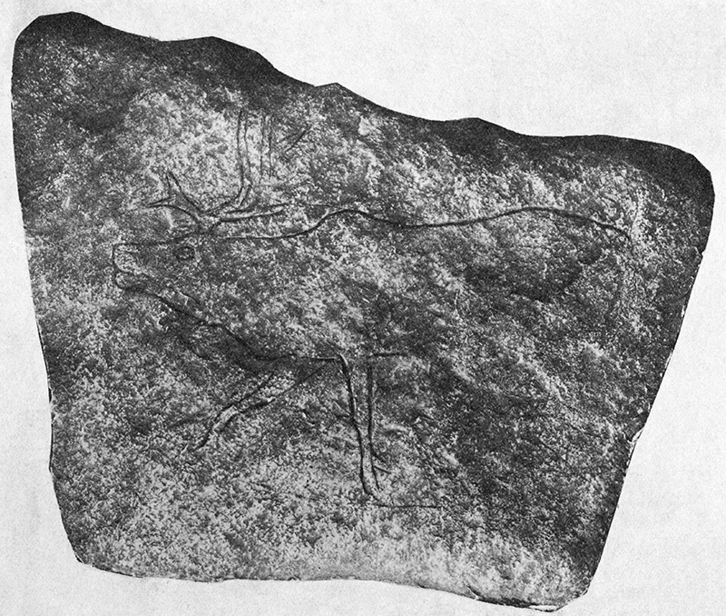 Peyrony_Madeleine126_plate_vism