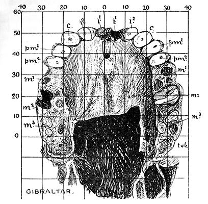 gibraltar neanderthal cave