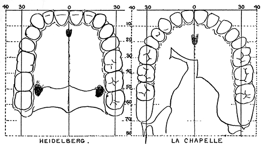 homo heidelbergensis 