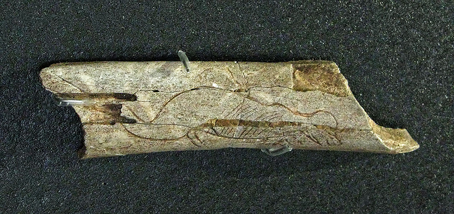 carved  bone