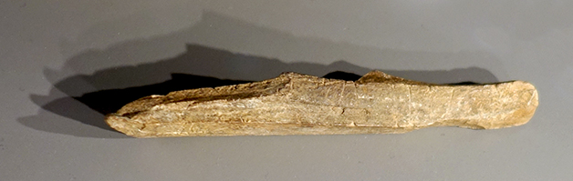 DSC01487carvedrodsm