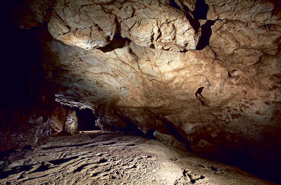 Pestera Coliboaia - Coliboaia Cave Rock Art
