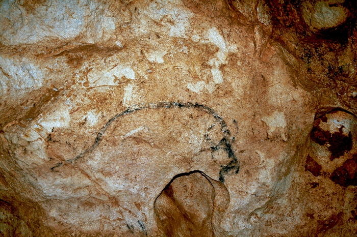 Pestera Coliboaia - Coliboaia Cave Rock Art