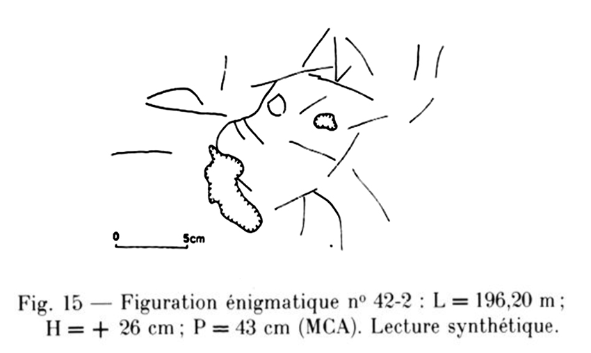 fig15combarellessm