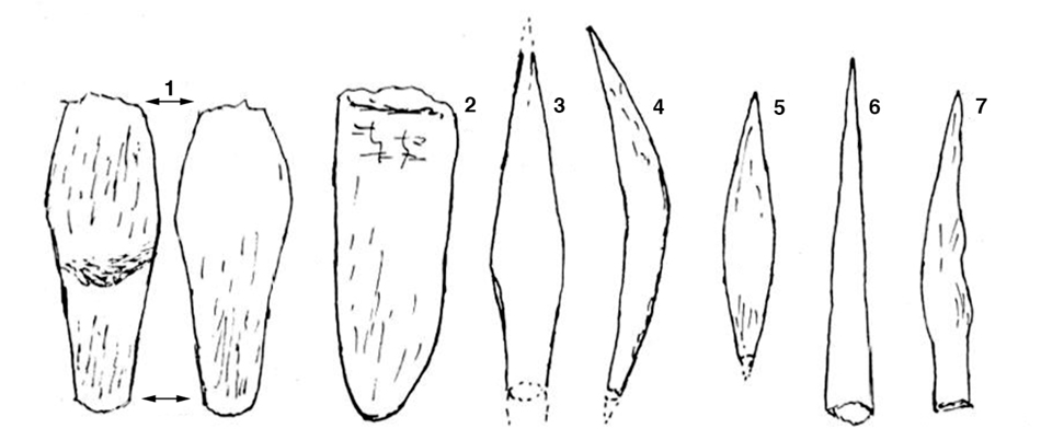 fig6delagesm