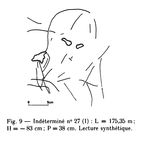 fig9combarellessm