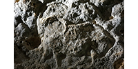 Abri Pataud