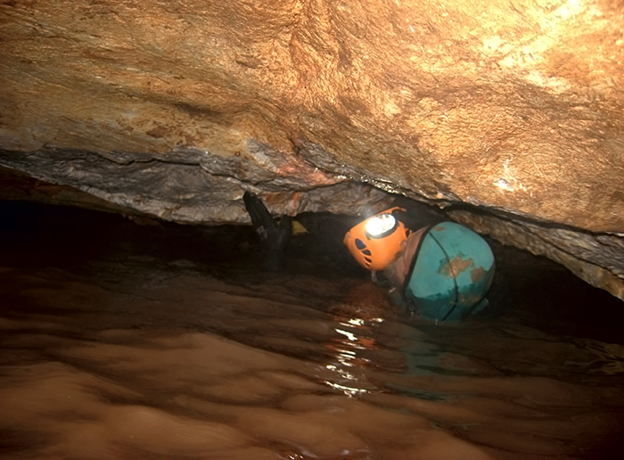 siphon2romaniancaverhinoonroofsm