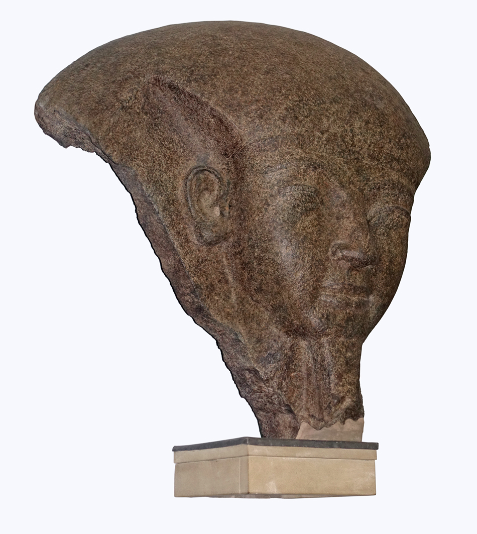 DSC03065ramessesVIsm
