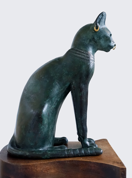 DSC03084catsm