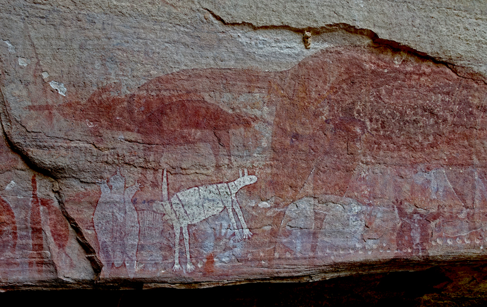 DSC03919echidnasm