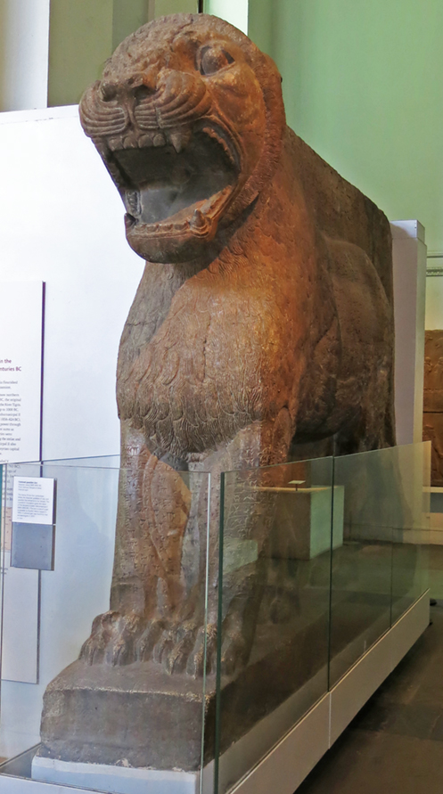 IMG_1734lionsm