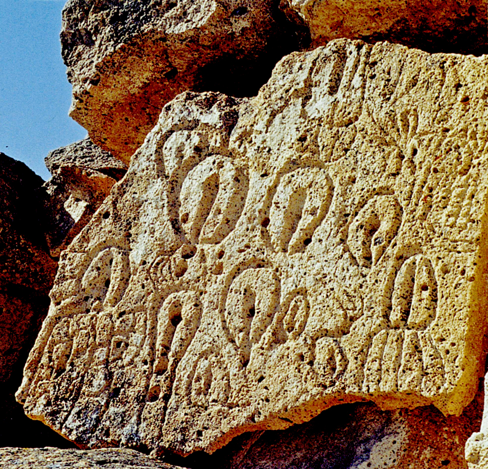 chalfontvulvas2