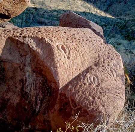 cupules_vulvas2sm