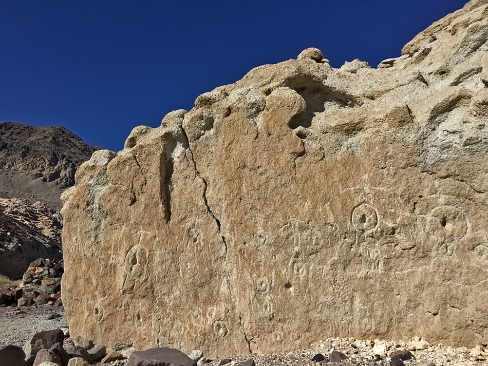 wallofvulvassm