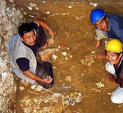 excavation