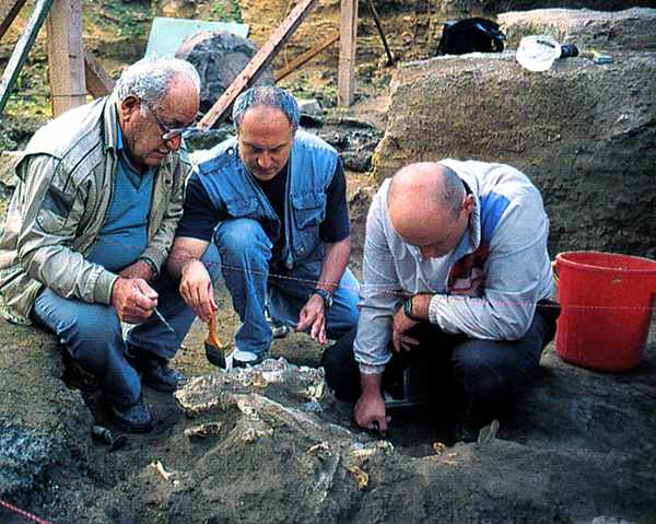 Homo Erectus The Dmanisi Site