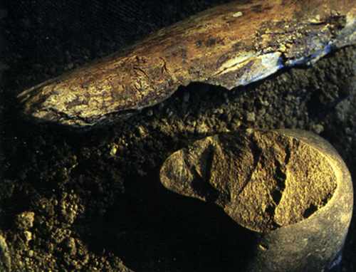 Homo Erectus The Dmanisi Site