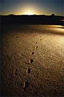 footprints