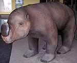 Giant Wombat