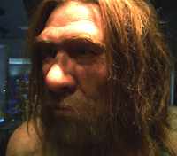 neandertal