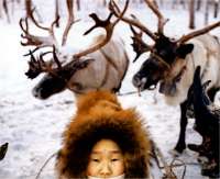 Reindeer Girl